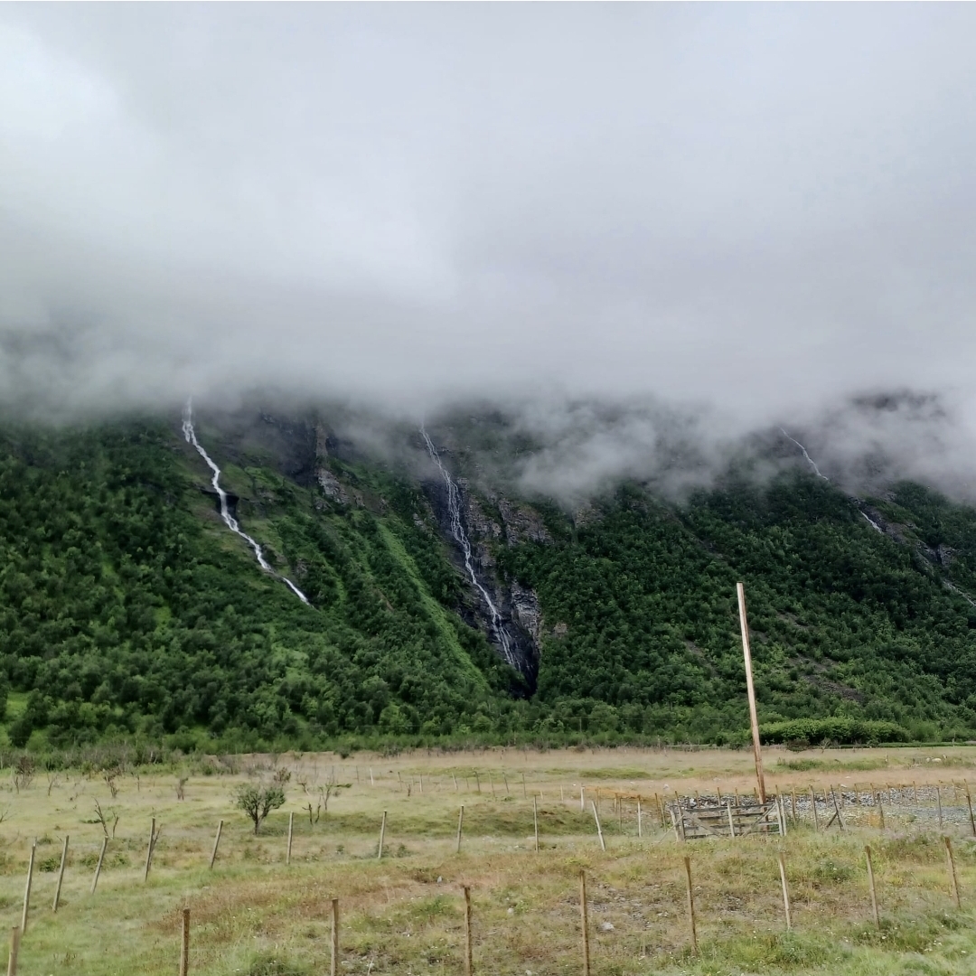 Vapaus, valta ja työ: Taiteilijan yhteiskunnallinen pohdinta