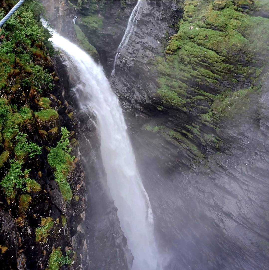 Taiteilijan oletettu arvottomuus – ja läsnäolo vastarintana