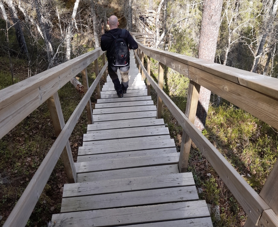 Technology, Time and Meaning in Art