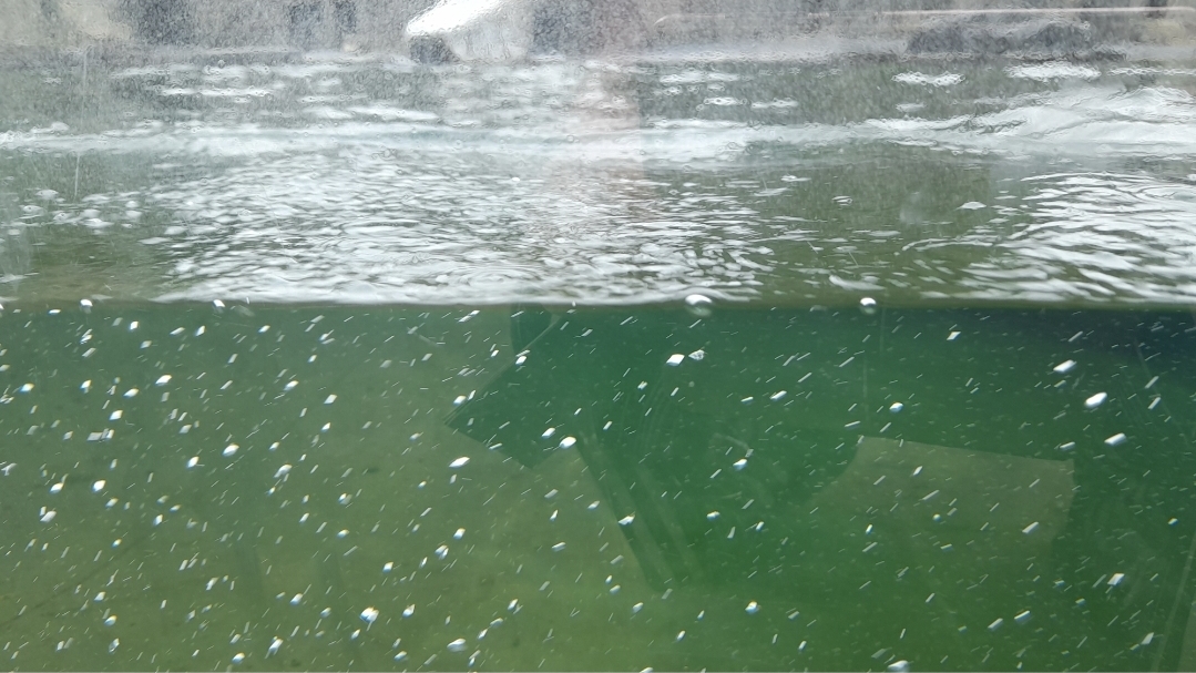 14.1.2026 — Rakas päiväkirja